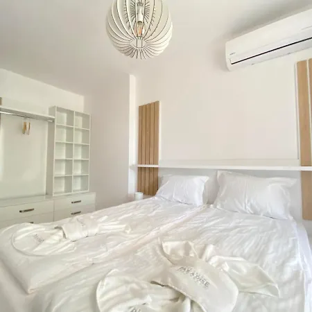 The Paradise 普里莫尔斯科