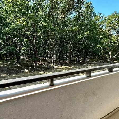 公寓式酒店 The Paradise