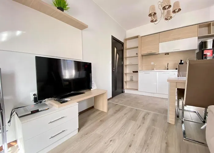 The Paradise 3* פרימורסקו